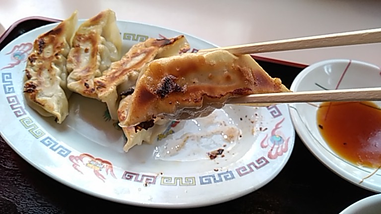 宇都宮餃子館の餃子